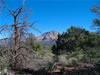 Sedona