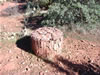 Sedona