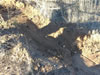Skid marks